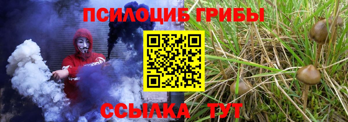 Галлюциногенные грибы MAGIC MUSHROOMS Усть-Илимск