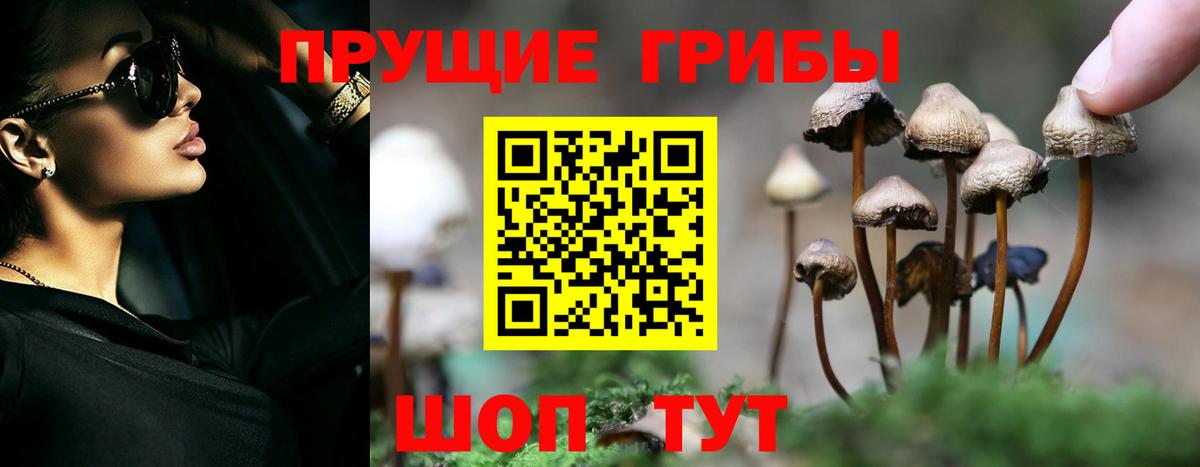 Галлюциногенные грибы мицелий  Галлюциногенные грибы мицелий  Вход с VPN  Усть-Илимск 